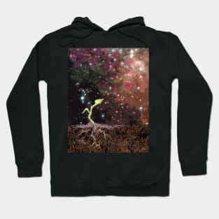 Sprout to Stars Hoodie